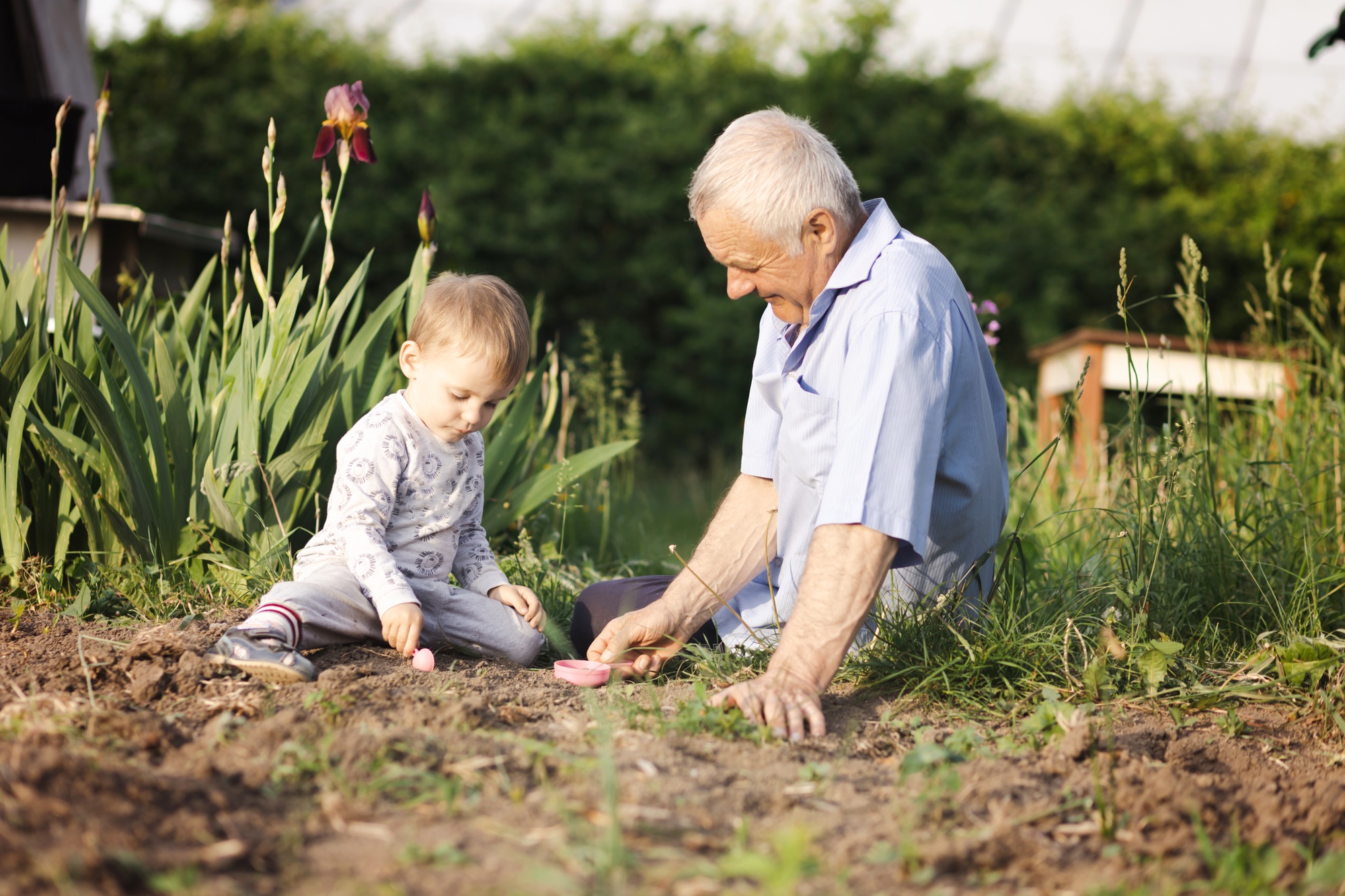 Grandpa play with grandson at the countryside.